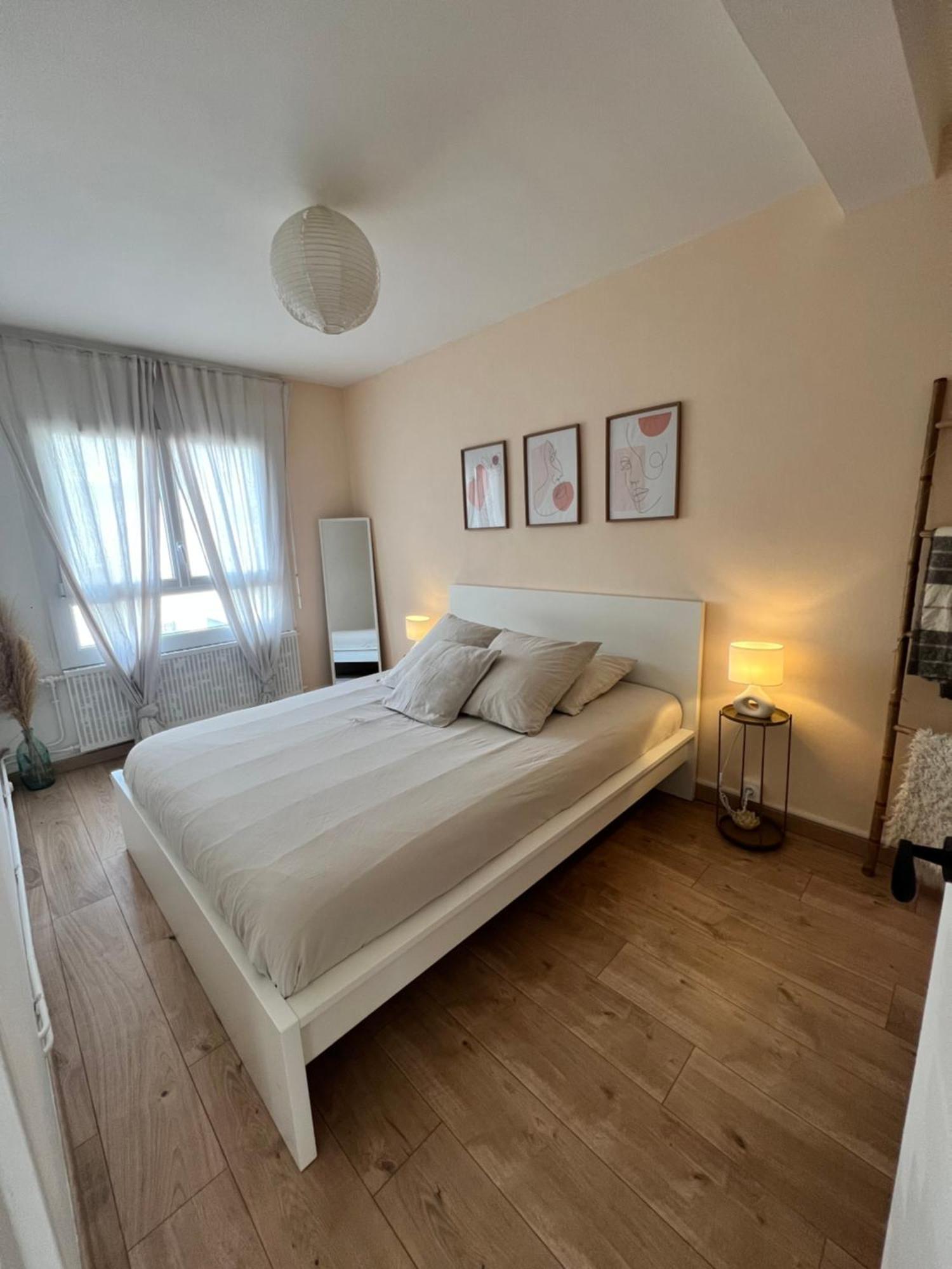Апартаменти Le Bellevue - T3 - Gare & Les Jardins Darcy - Parking Free Діжон Екстер'єр фото